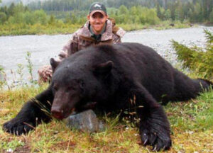 Bear116