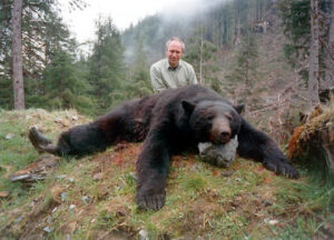bear10