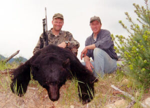 bear11